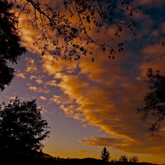 Meet your Posher, Ashley - Picture 1 of 1